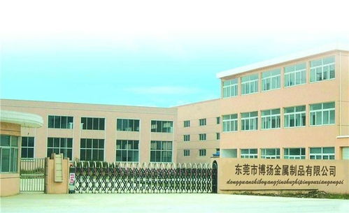 東莞市博揚(yáng)進(jìn)口彈簧鋼制品廠