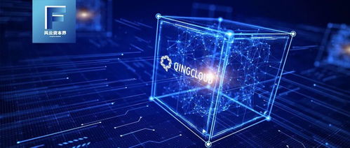 強敵林立，青云科技如何以技術服務突圍阿里、華為等巨頭？