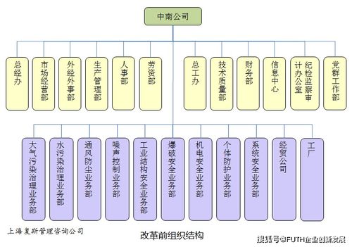 子公司長不大，總部又成了空殼子 某高科技企業技術服務型子公司的管理困境