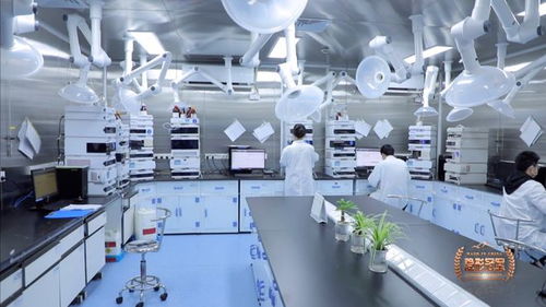 六元環(huán)三劍客 二十年死磕分子砌塊，讓中國(guó)技術(shù)嵌入全球藥脈